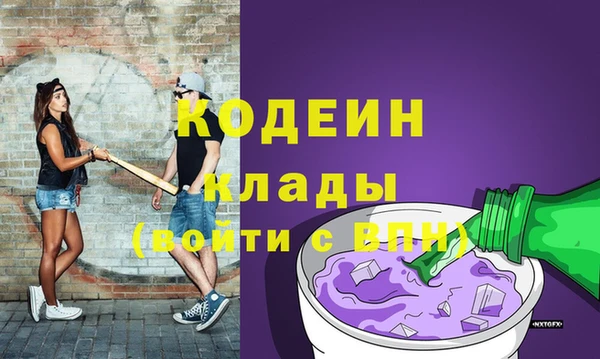 твердый Вяземский